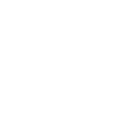 機能制限